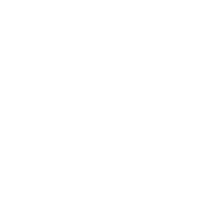 3MT